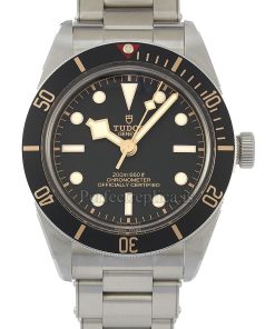 Tudor Black Bay 79030N