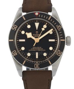Tudor Black Bay 79030N