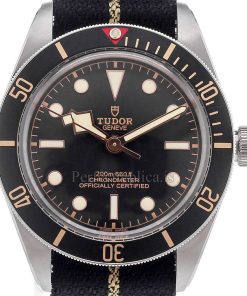 Tudor Black Bay 79030N