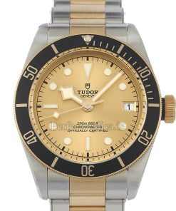 Tudor Black Bay 79733N