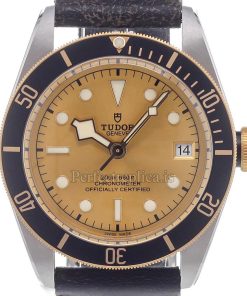 Tudor Black Bay 79733N