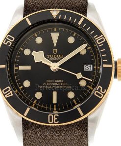 Tudor Black Bay 79733N