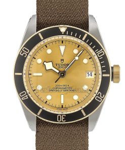 Tudor Black Bay 79733N