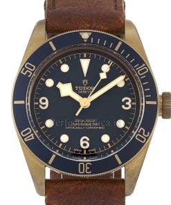 Tudor Black Bay 79250BB