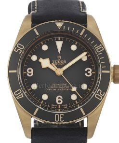 Tudor Black Bay 79250BA