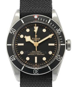 Tudor Black Bay 79230N