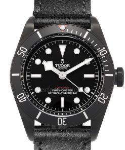 Tudor Black Bay 79230DK