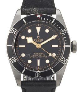 Tudor Black Bay 79230N