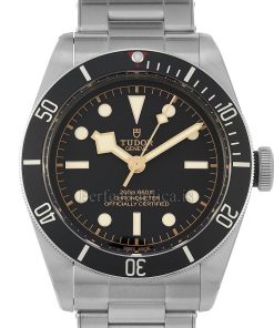 Tudor Black Bay 79230N