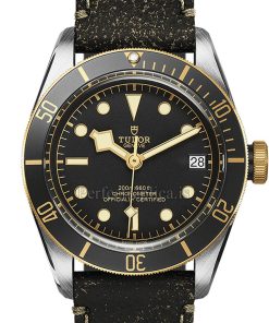Tudor Black Bay 79733N