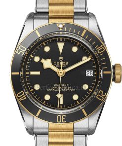 Tudor Black Bay 79733N