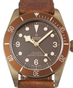 Tudor Black Bay 79250BM