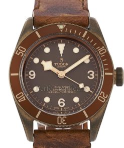 Tudor Black Bay 79250BM