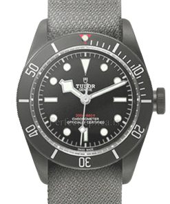 Tudor Black Bay 79230DK