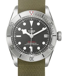 Tudor Black Bay 79730